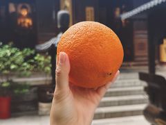 -罔极寺
