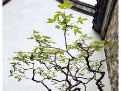 -个园