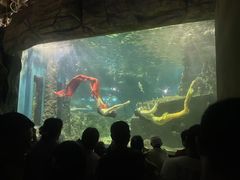 -嘉兴海底世界