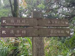 -广州市帽峰山景区
