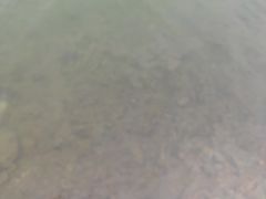-紫霞湖公园