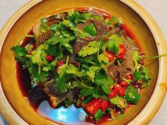 凉拌黑毛肚-金哥私房菜馆(张府园总店)