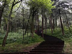 -青城山