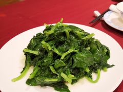 酒香豆苗-老吉士酒家(天平路店)