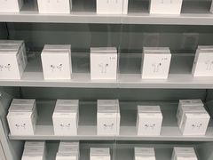 -Apple授权专营店(五彩城店)
