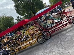 -上海长兴岛郊野公园