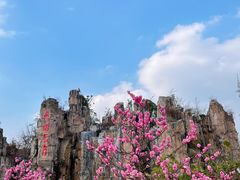 -秀丽东方