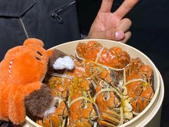 -黄记大闸蟹专卖店·活蟹·醉蟹