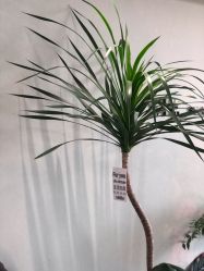 -Lumi露米·美甲美睫品质店