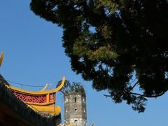 -江心屿景区