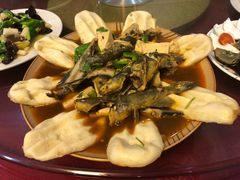 -微山岛春天里酒家