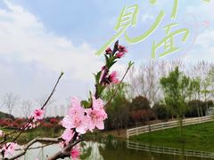 -嬉乐湾休闲旅游区