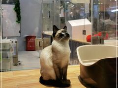 -狗道宠物(常熟印象城店)