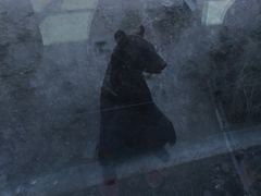 -新疆天山野生动物园