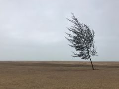 -白沙门生态公园