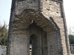 -上海佘山国家森林公园天马山园