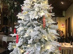 -一棵树·意大利西餐厅One Tree(新城店)