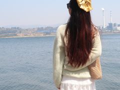 -阳宗海湿地