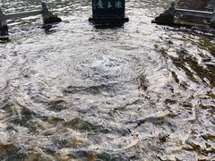 -百脉泉景区