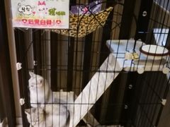 -津菜宋记老房子(鼓楼店)