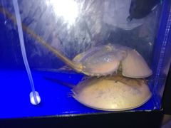 -欧亚达商业广场(红桥店)