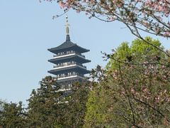 -宜兴龙背山森林公园