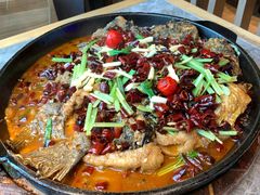 老板恋上鱼-老板恋上鱼(恒隆广场店)