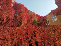 -辽宁大学(崇山校区)