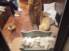 -玲珑餐厅(陕西南路店)