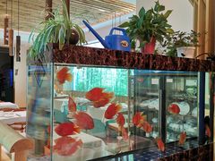 -原鄉本味 楚菜 丹江口鱼(北苑店)