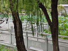 -莲湖公园