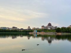 -莲花池公园