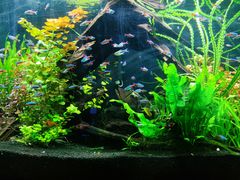 -上海海洋水族馆