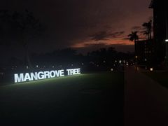 -亚龙湾红树林度假酒店-韩轩韩餐厅