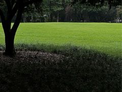 -西湖天地