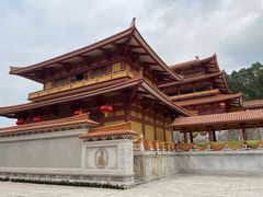 -三水森林公园