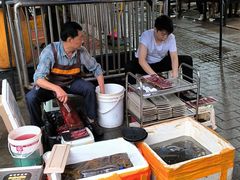 -铜元老码头鳝鱼火锅