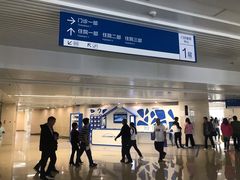-首都医科大学附属北京天坛医院