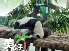 -广州动物园