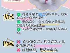 -翊宠yipet猫狗购宠庄园