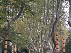 -杭州黄龙洞