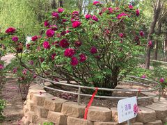 -太阳宫公园