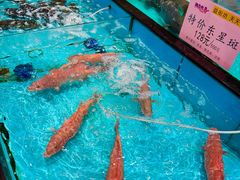 -尖沙咀大酒楼(大沥竹基南店·粤菜海鲜·宴会聚餐)