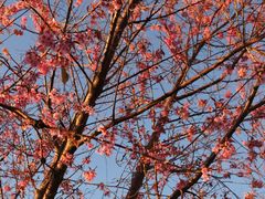 -呈贡滇池生态湿地公园