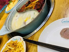 -青瓷火锅料理(西单大悦城店)
