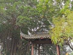 -乌山风景区