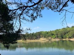 -南京市无想山景区