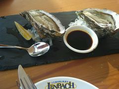 -LENBACH兰巴赫西餐啤酒坊(大连星海广场店)