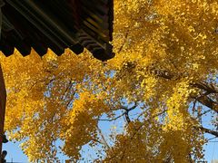 -承恩寺