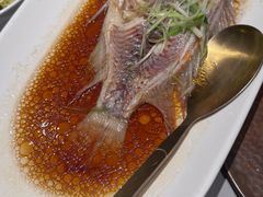 清蒸东星斑-徐记海鲜·家宴(南油永新汇店)